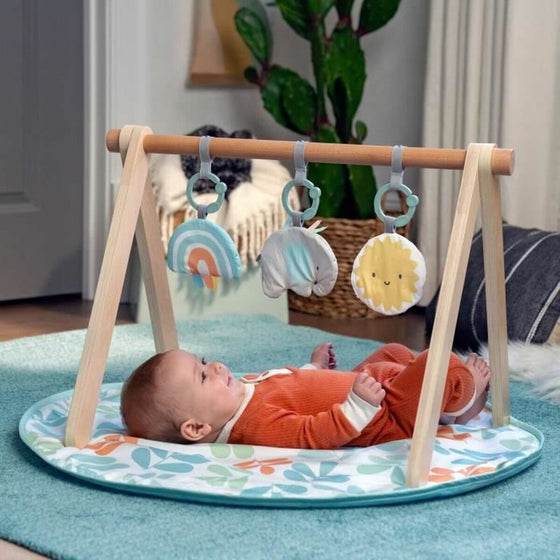 Play mat Ingenuity-2