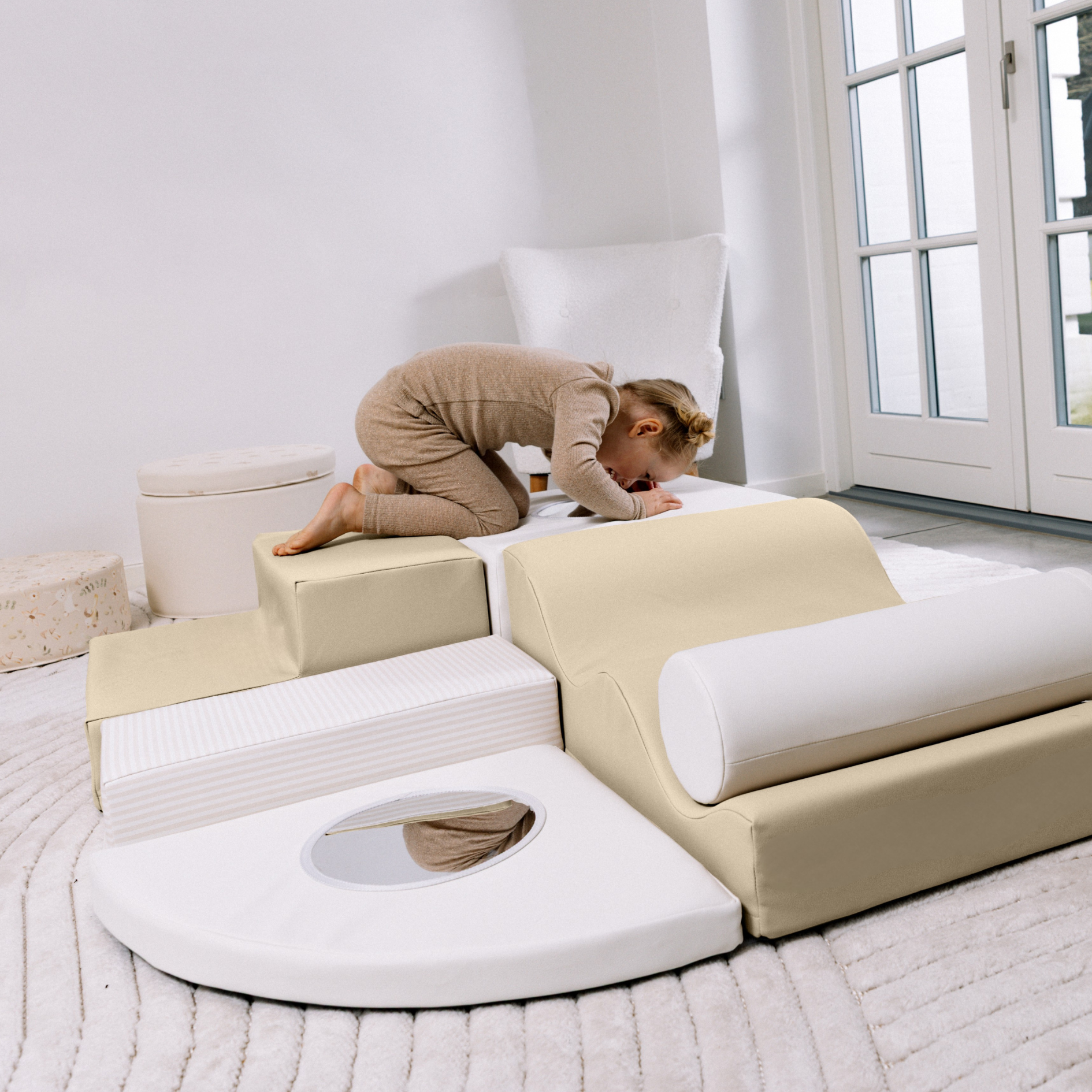 Dog lying on a modern, elevated pet bed in a minimalistic room.